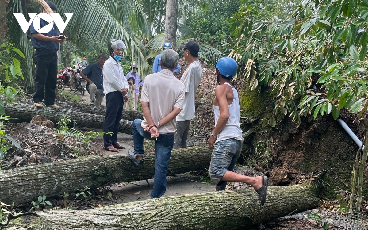 Gió lốc gây thiệt hại hàng chục nhà dân và đổ ngã nhiều vườn cây đặc sản tại Bến Tre